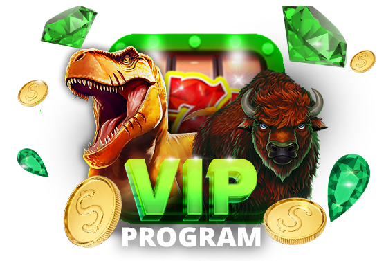 vip program